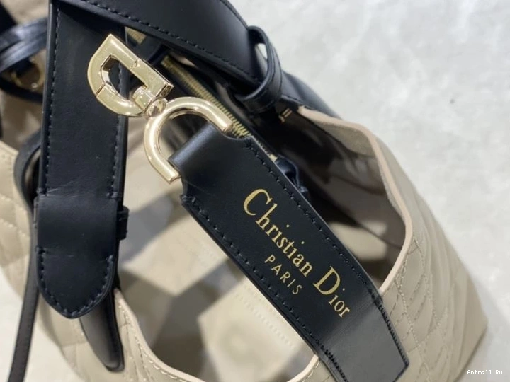 Christian Shopping NewStyle Dior Bags 66600 0712